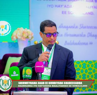 Deputy- Hamse Abdirahman Khayre 2